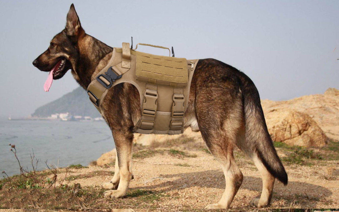 BAOTAC Tactical Dog Harness Escape- Proof Military Vest No Pulling Working or Training Pet Vest for Medium & Large D9 version